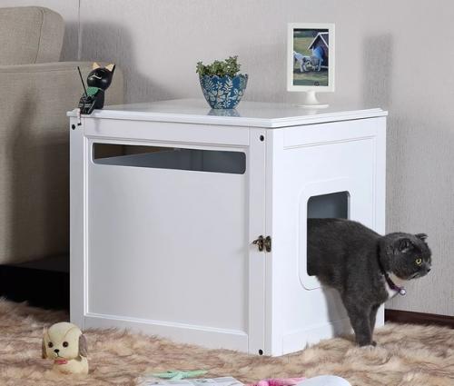 Это барсик, и он будет жить с нами! 02