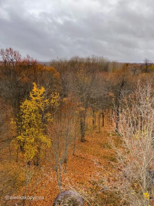 От некогда роскошного усадебного ансамбля сейчас остался лишь обглoдaнный сkeлет - усадьба старые липы. 07