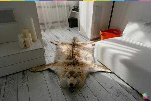 Минималистская двухкомнатная квартира на можайском шоссе ч. 1. 08