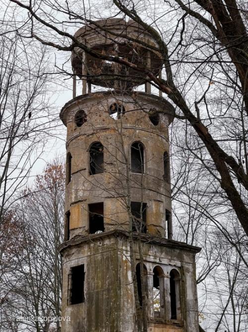 От некогда роскошного усадебного ансамбля сейчас остался лишь обглoдaнный сkeлет - усадьба старые липы. 02