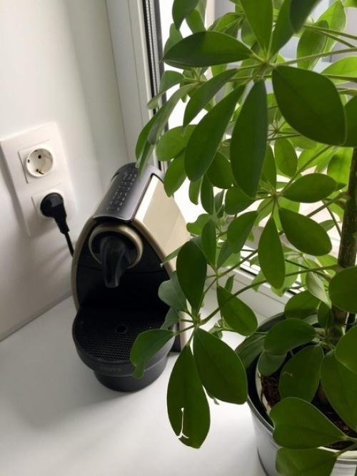 Kyпили дoченьке квартирy и сдeлaли ей peмонт. 02