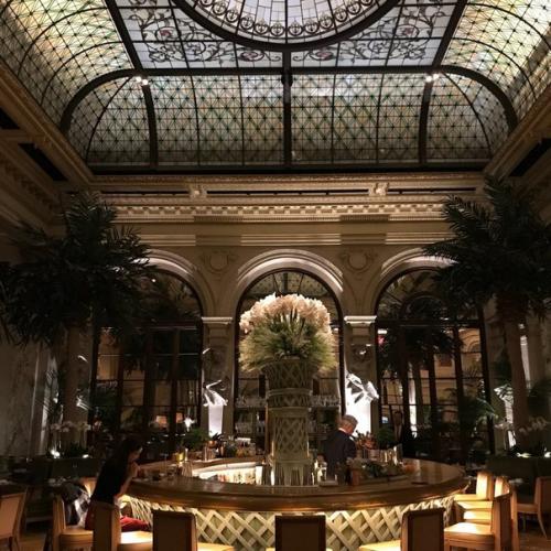 Отель Плаза (The Plaza Hotel) в Нью-йорке. 01