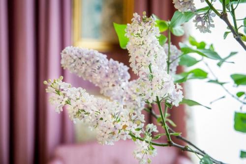 Сирень в александровском дворце. 05