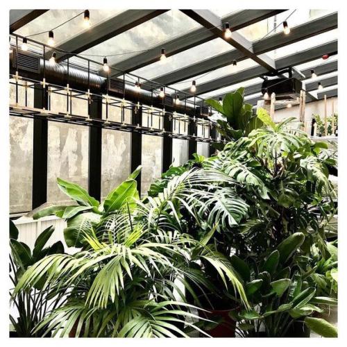 Питер душит развитие туризма полностью! 06 Питер душит развитие туризма полностью! 06