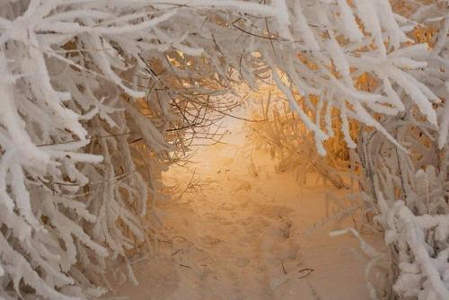 Зима - это сказка: красивая, белая, очень - очень чистая! 04