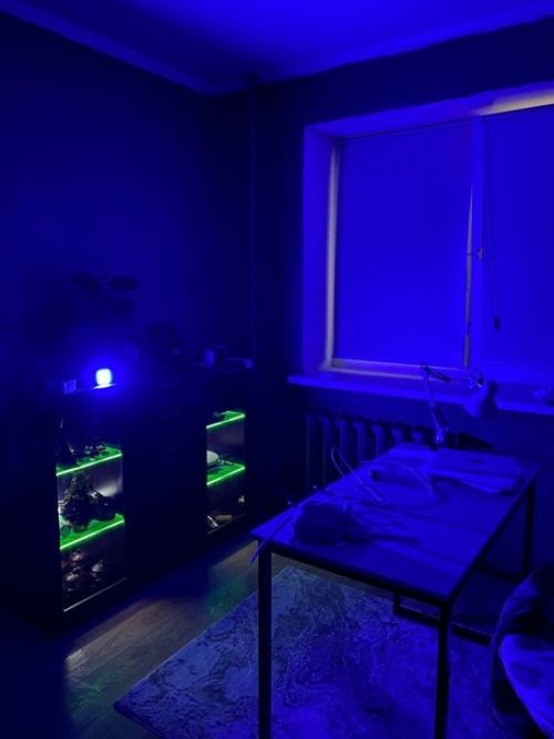 Делаю из дома контент - лофт. 07