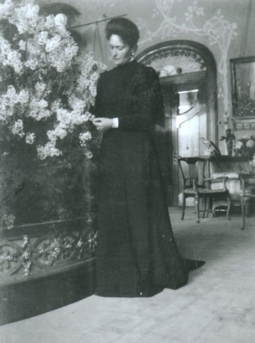 Сирень в александровском дворце. 01