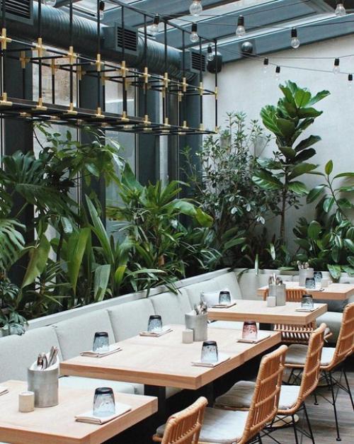 Питер душит развитие туризма полностью! 03 Питер душит развитие туризма полностью! 03