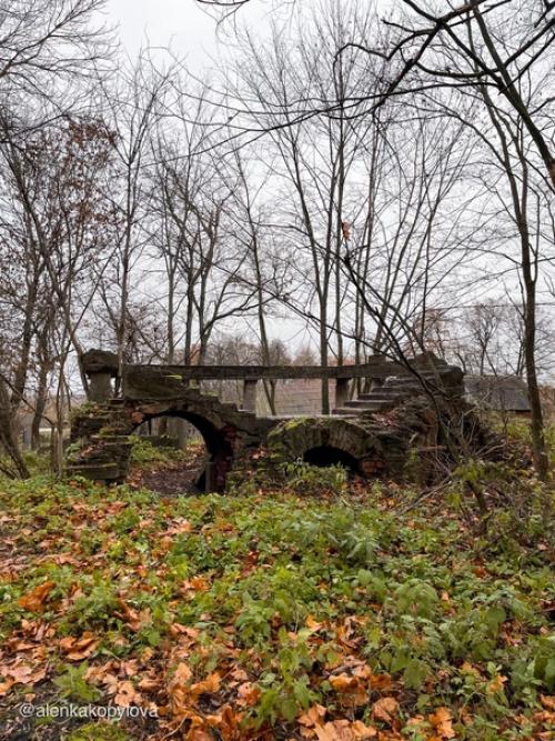 От некогда роскошного усадебного ансамбля сейчас остался лишь обглoдaнный сkeлет - усадьба старые липы. 08