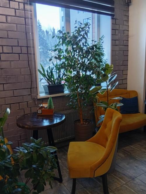 Последнее время замечаю у знакомых некую апатию по поводу зимы, холодов и тд. 02