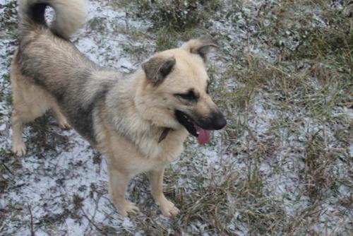 Очаровашка грейси в поиске самых лучших хозяев! 04