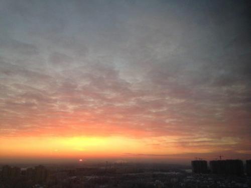 Ребята, я сдаю квартиру? 08