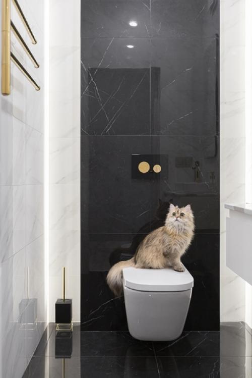 Очень красивый, современный интерьер раздельного санузла. 07