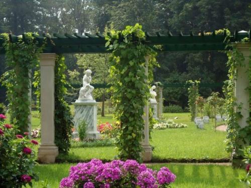 Александри?  Я - дворцово-парковый ансамбль Петергофа, пригорода Санкт-петербурга. 03