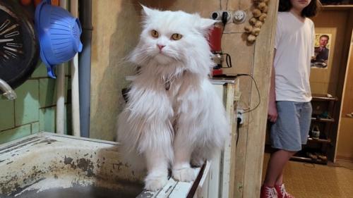 Квартира коляна из Реальных Пацанов. 07