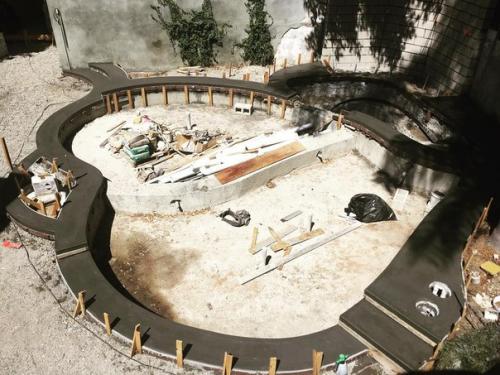 Дом Адама ламберта имеет площадь около 350-ти квадратных метров и расположен на голливудских холмах. 07