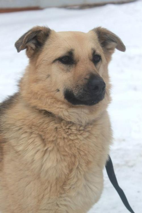 Очаровашка грейси в поиске самых лучших хозяев! 03