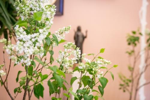 В александровском дворце цветет сирень. 09