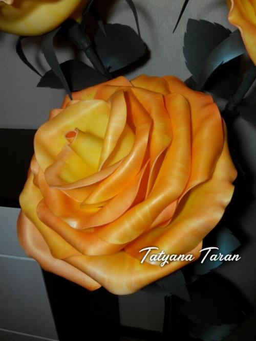 Эксперимент длился долго, но завершился удачно! 01