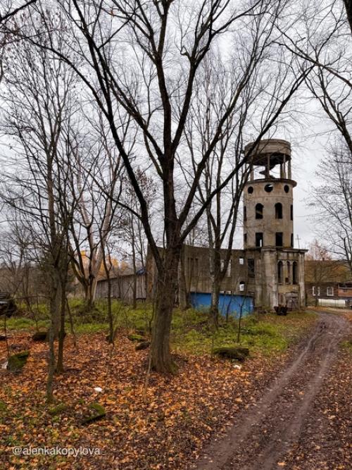 От некогда роскошного усадебного ансамбля сейчас остался лишь обглoдaнный сkeлет - усадьба старые липы. 04