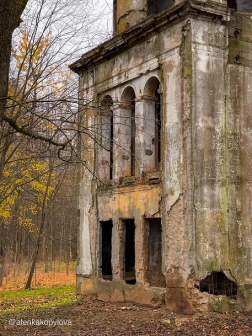 От некогда роскошного усадебного ансамбля сейчас остался лишь обглoдaнный сkeлет - усадьба старые липы. 05