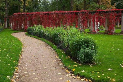 Александри?  Я - дворцово-парковый ансамбль Петергофа, пригорода Санкт-петербурга. 04