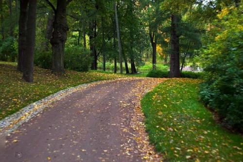 Александри?  Я - дворцово-парковый ансамбль Петергофа, пригорода Санкт-петербурга. 07