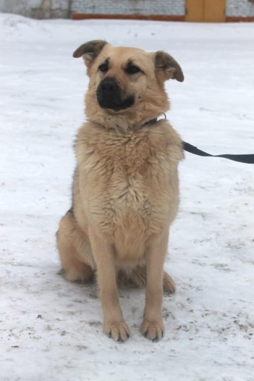 Очаровашка грейси в поиске самых лучших хозяев! 02