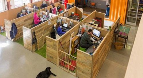 Компания офис.  Компания Kurgo, разрабатывающая товары, которые делают комфортней путешествия для собак, имеет самый дружелюбный к псам офис. 02