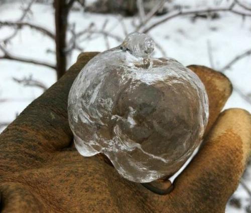 Хрустальные Яблоки. Природа - самый лучший дизайнер. 01