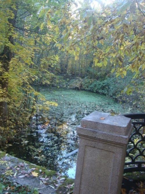 На выходных я побывала в одном из многочисленных дворцово-парковых комплексов Санкт-петербурга. 03 На выходных я побывала в одном из многочисленных дворцово-парковых комплексов Санкт-петербурга. 03