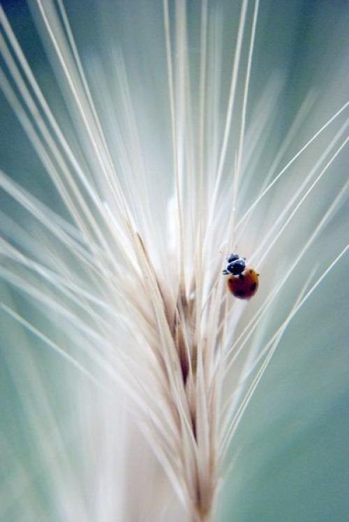 В каждом времени года есть своя прелесть. 02