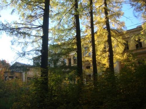 На выходных я побывала в одном из многочисленных дворцово-парковых комплексов Санкт-петербурга. 02 На выходных я побывала в одном из многочисленных дворцово-парковых комплексов Санкт-петербурга. 02