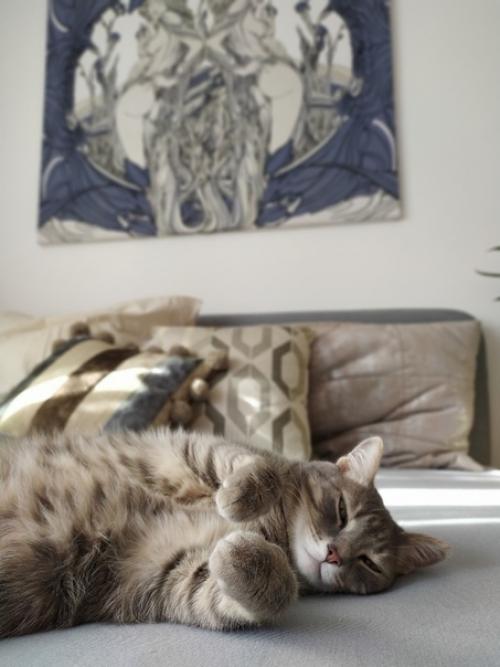 Интересные решения в ремонте квартиры. 09