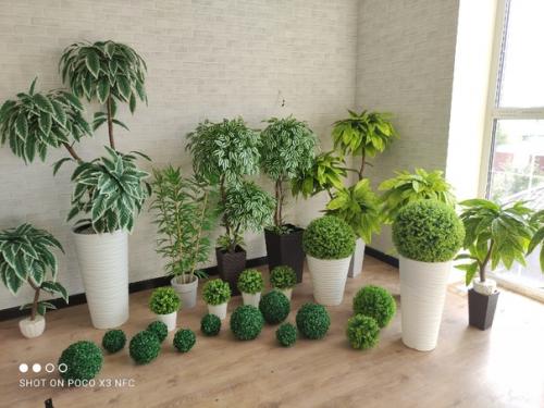 Кто не мечтает о том, чтобы дом всегда украшали роскошный букет или милые горшечные растения? 06