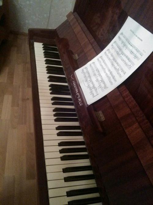 Фортепиано Ласточка хозяина ищет! 01