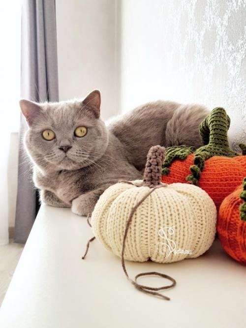 Великий и могучий тыкв. 01 Великий и могучий тыкв. 01