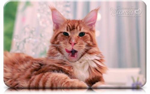 Хохотала до слёз? 
