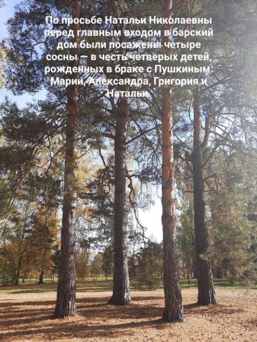 А. с. пушкин. 01