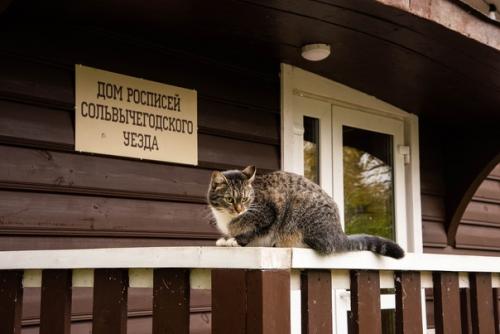В продолжение темы где Остановиться в Сольвычегодске, стоит сказать, что помимо показанного ниже земского дома есть ещё вот что: 05
