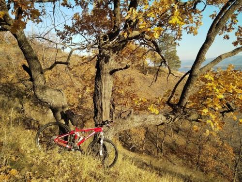 Как нежданная ремиссия у безнадёжно больного;. 06