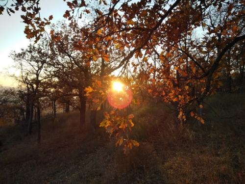 Как нежданная ремиссия у безнадёжно больного;. 07