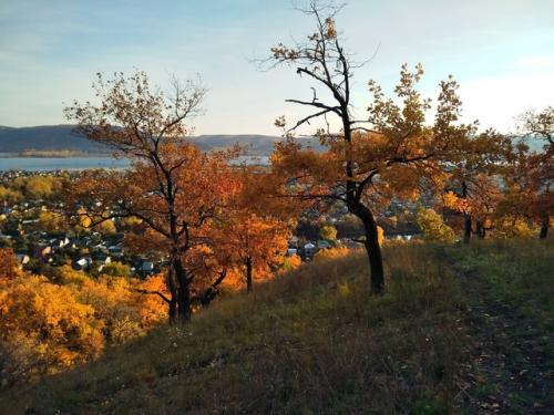 Как нежданная ремиссия у безнадёжно больного;. 08