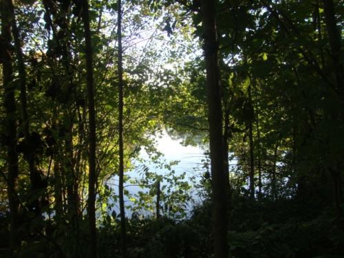 На выходных я побывала в одном из многочисленных дворцово-парковых комплексов Санкт-петербурга. 09 На выходных я побывала в одном из многочисленных дворцово-парковых комплексов Санкт-петербурга. 09