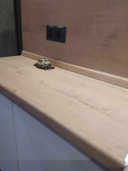 Связь с природой. 05