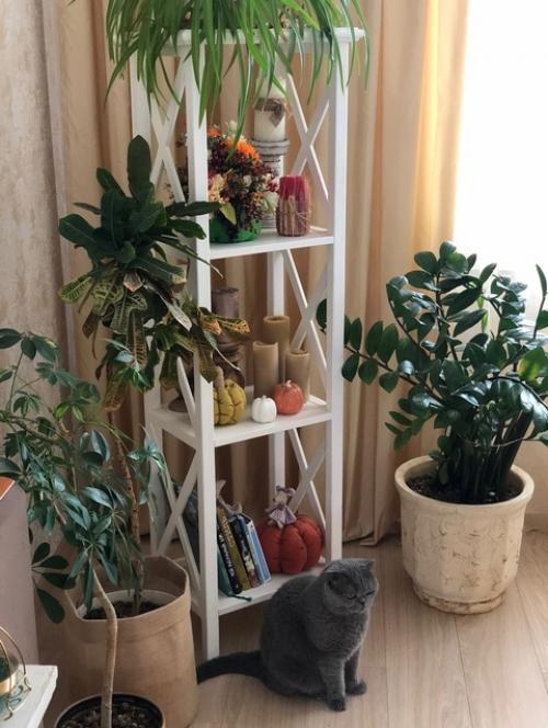 Про этот предмет мебели в нашей квартире самые частые вопросы. 03