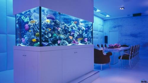 Опытный дизайнер знает, что сочетание красоты и функциональности - залог успешного дизайна, но добиться их сочетания можно и своими руками. 09 Опытный дизайнер знает, что сочетание красоты и функциональности - залог успешного дизайна, но добиться их сочетания можно и своими руками. 09