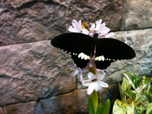 Интересный маршрут вокруг станции метро Чкаловская. 01