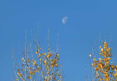 Как нежданная ремиссия у безнадёжно больного;. 04