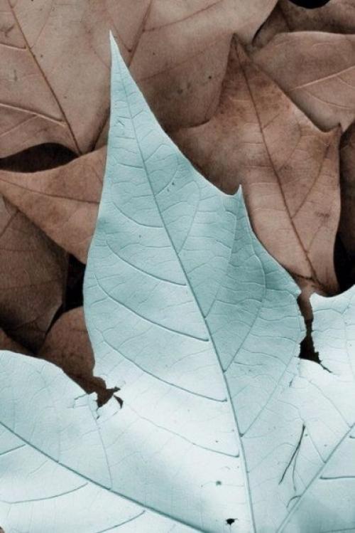 В каждом времени года есть своя прелесть. 03